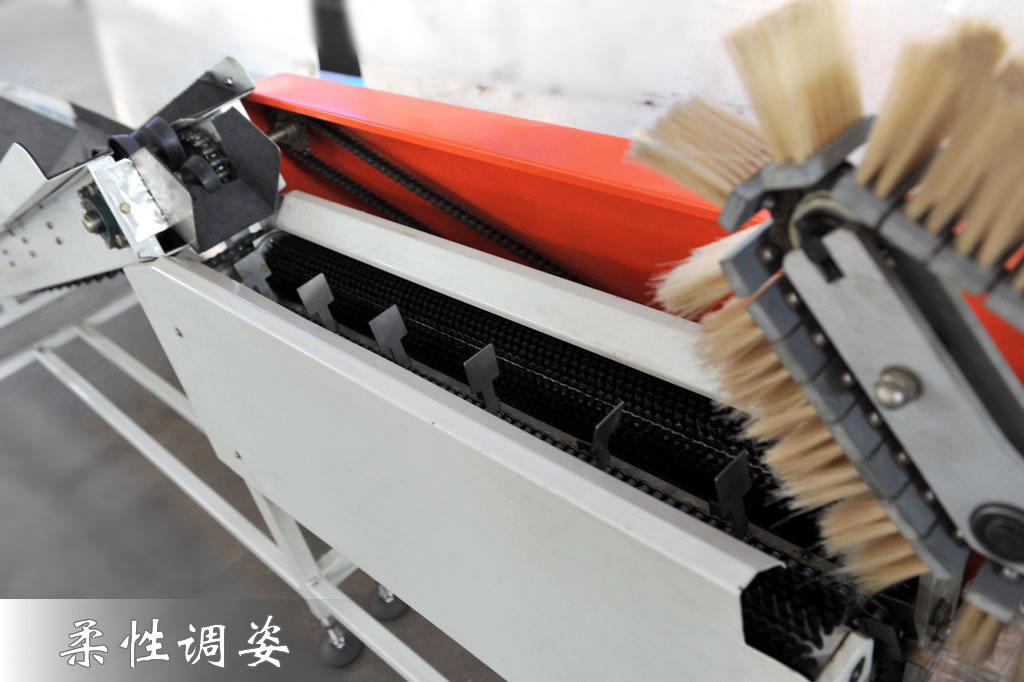 恒新牌XFZB-1型果蔬自動(dòng)包裝機(jī)